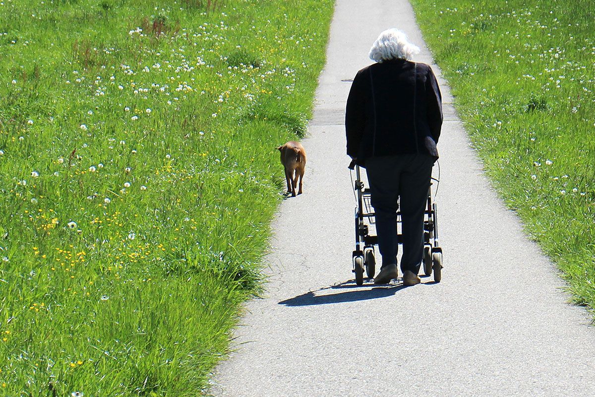 Mobility Issues shouldn't stop people enjoying their dogs/pets, but it can certainly cause some difficulties. Poop Patrol consider these, and how you can work your way around them.