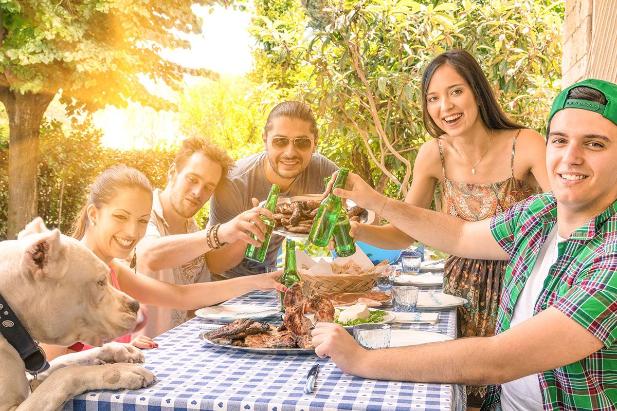 With summer coming, and National BBQ week kicking off, Poop Patrol looks at what you need to think about to maximise your enjoyment with your furry friends around!