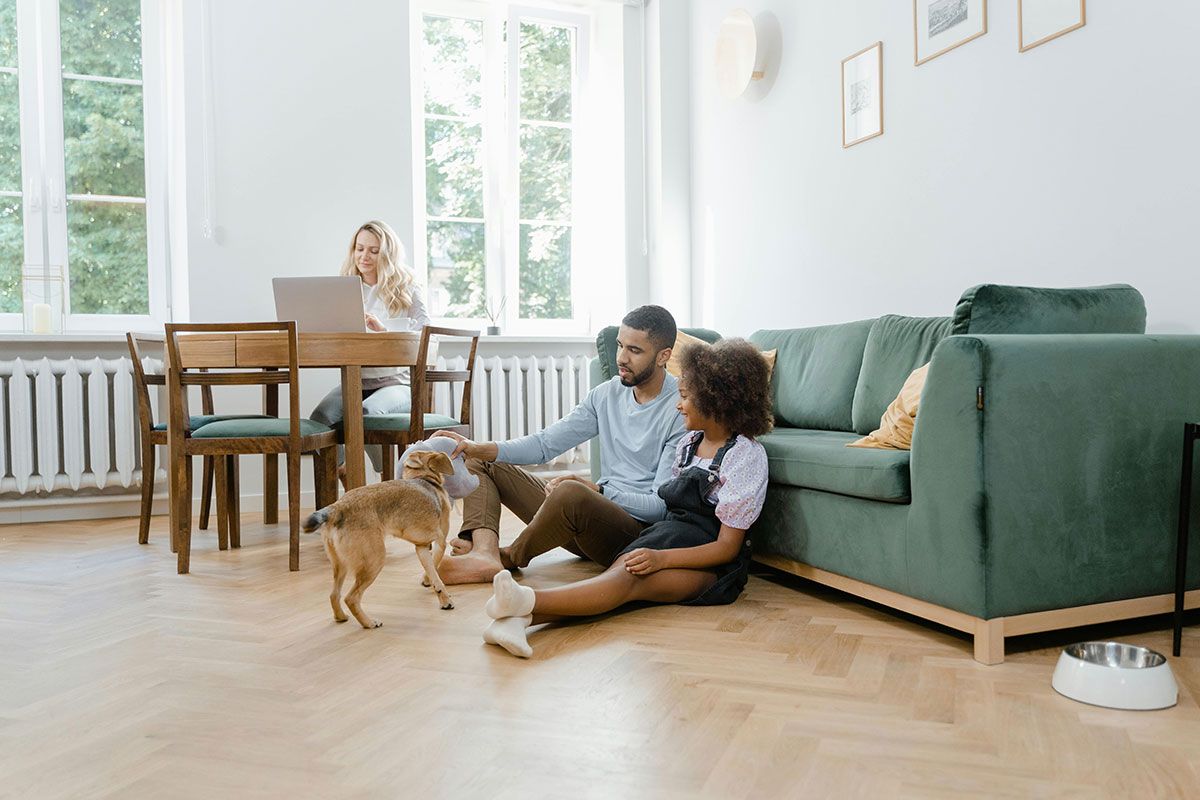 Our pets mean everything to us, so this National Pet Wellness Month, read Poop Patrol's guide to making sure you give them the very best lives.