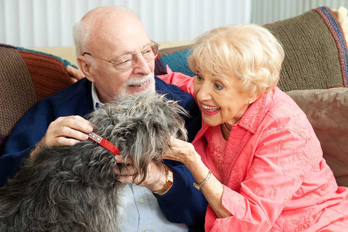 Poop Patrol takes a look at the importance of dogs and pets on World Senior Citizens' Day