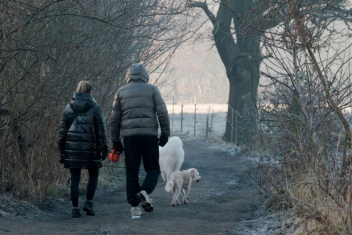 Poop Patrol take a look at Walk Your Dog Month and how it can offer you some fantastic experiences with your four-legged friends
