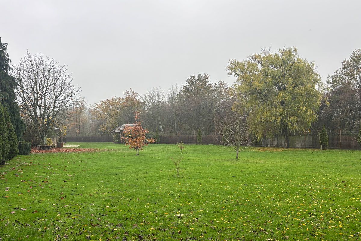 Poop Patrol were called in to assist with some emergency waste clearance for a homeowner who'd moved out, but left behind some memories of their five dogs.