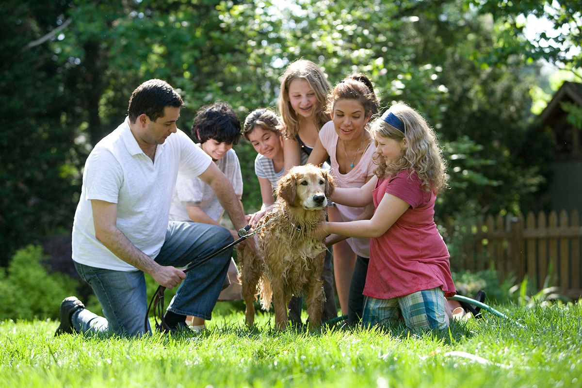 International Dog Day is a time for us all to appreciate our canine pals!
