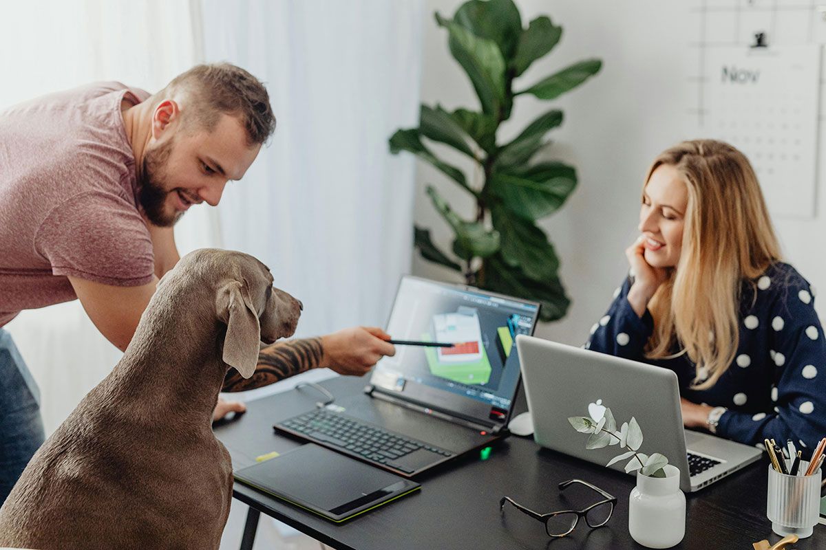 Poop Patrol looks at dog-friendly offices and celebrates the good they bring on 'Take your dog to work' Day.