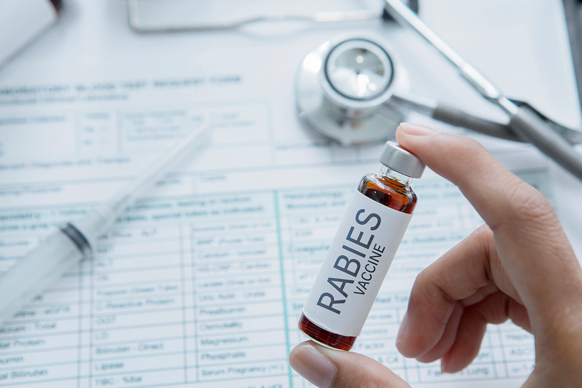 Find out why it's still vital to protect against Rabies for your four-legged friends.