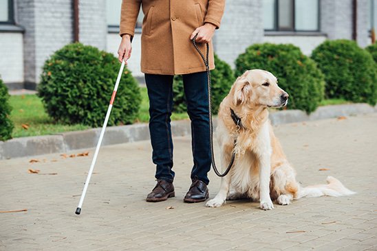 Poop Patrol's look at the importance of Assistance Dogs in the UK.